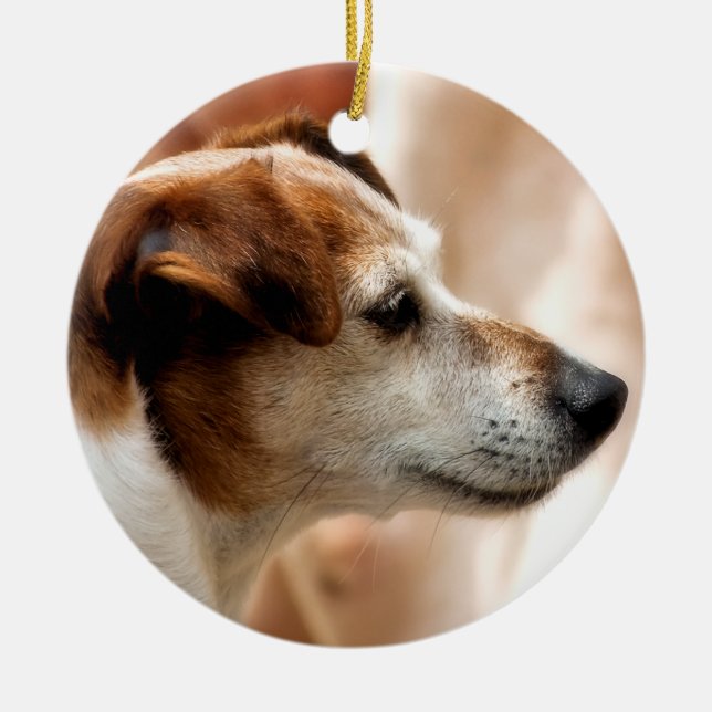 DÉCORATION EN CÉRAMIQUE JACK RUSSELL TERRIER CHIEN (Devant)