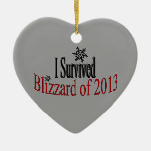 Décoration En Céramique J'ai survécu à l'ornement de la tempête de neig