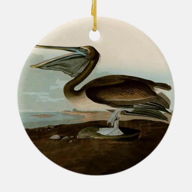 Décoration En Céramique John James Audubon Peinture Pélicane Brown (Dos)