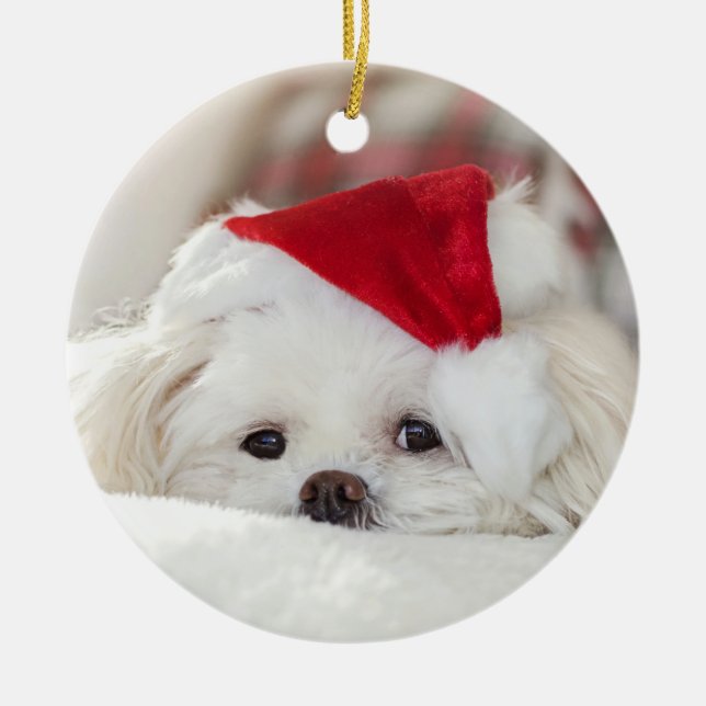 Décoration En Céramique Joli Noël Chien chiot maltais blanc (Devant)