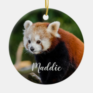 Décoration En Céramique Joli Panda Rouge Fire Fox Personnalisé
