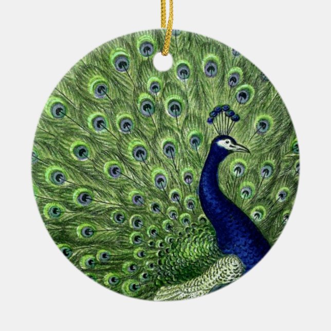 Décoration En Céramique Joli Peacock (Devant)