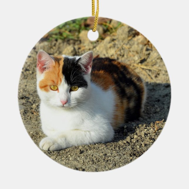 Décoration En Céramique Jolie photo de chat Calico (Devant)