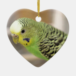 Décoration En Céramique Kiwi