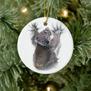 Décoration En Céramique Koala Bear Animal Graphic Gifts For Koala Lovers
