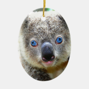 Décoration En Céramique Koala Bears
