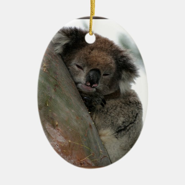 Décoration En Céramique Koala - défenseur de l'environnement d'énergie (Devant)