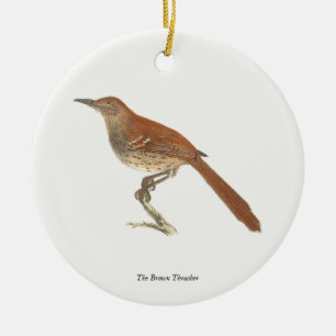 Décoration En Céramique La Grive Brown ou le Trasher Brown, New York Birds