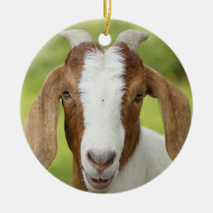Décoration En Céramique La nourrice de la chèvre des Boers
