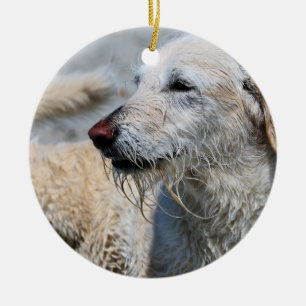 Décoration En Céramique Labradoodle - Izzy