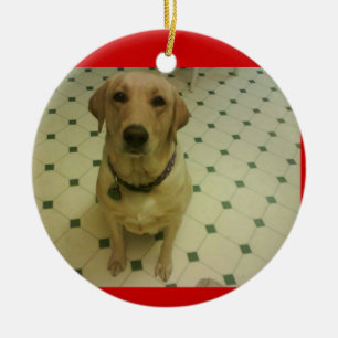 Décoration En Céramique labrador retriever jaune