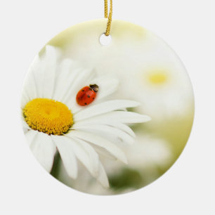 Décoration En Céramique Ladybug et une marguerite
