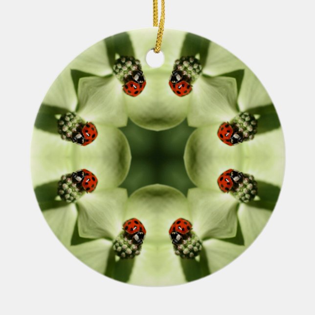 Décoration En Céramique Ladybug Kaleidoscope Nature Orament (Devant)