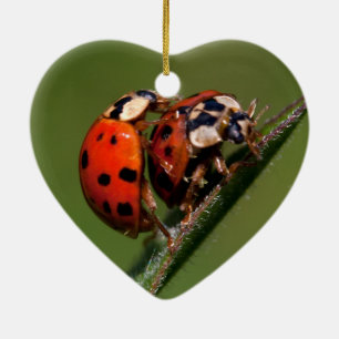 Décoration En Céramique Ladybugs In Love