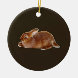 Décoration En Céramique Lapin Brown