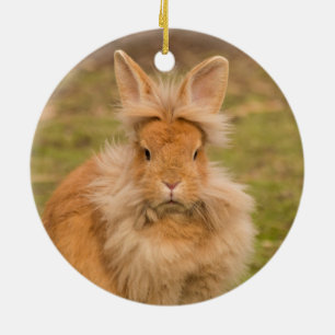 Décoration En Céramique Lapin lapin à tête de lionne rouge à chair souple