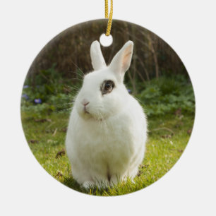 Décoration En Céramique Lapin nain blanc Hotot lapin