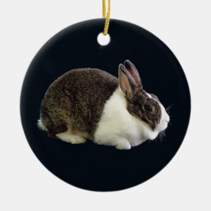 Décoration En Céramique Lapin néerlandais Brown et blanc