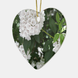 Décoration En Céramique Laurier de Montagne Blanc Fleurs en Étoile