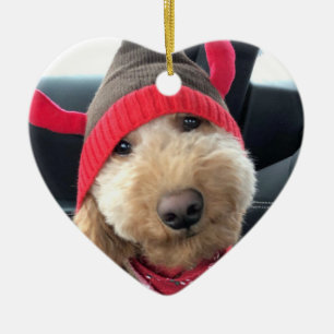 Décoration En Céramique Le mignon Goldendoodle dans sa tenue de Noël