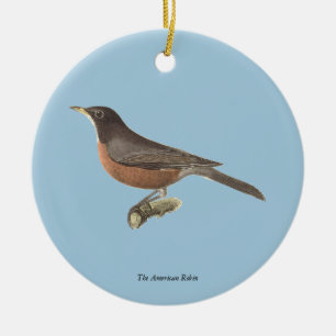 Décoration En Céramique Le Robin américain (Turdus migratorius) NY Birds