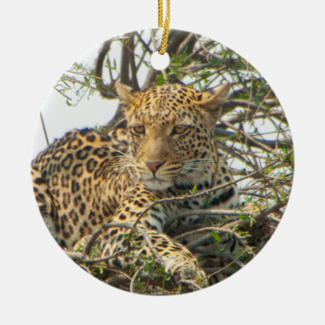 Décoration En Céramique Leopard dans l'arbre (Devant)
