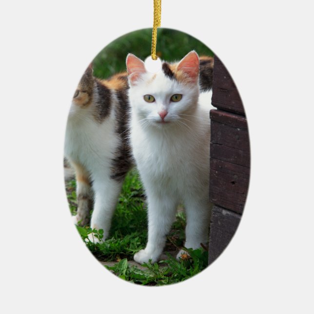 Décoration En Céramique Les chats jouent (Devant)