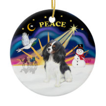 Lever de soleil de Noël - Cavalier tricolore