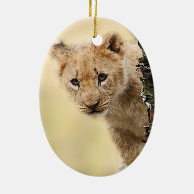 Décoration En Céramique Lion CUB (Dos)