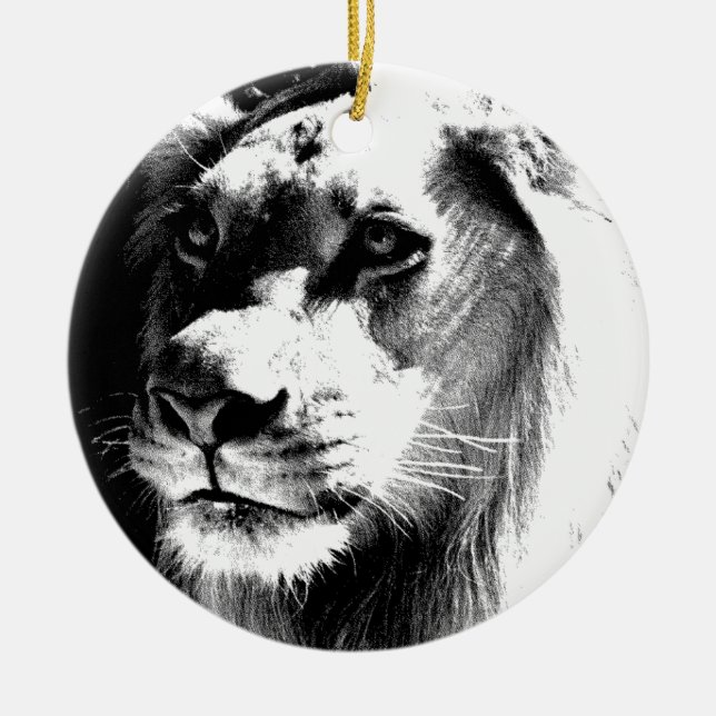 Décoration En Céramique Lion Eyes (Devant)
