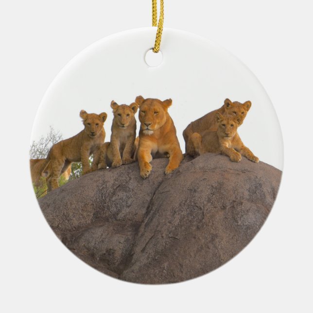 Décoration En Céramique Lioness Avec Les Cubs, Le Serengeti. (Devant)