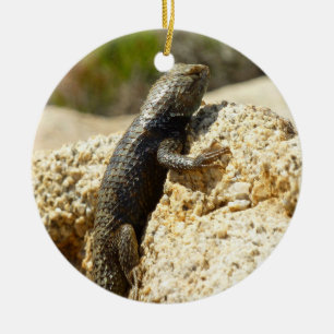 Décoration En Céramique Lizard d'épinette à dos jaune à Joshua Tree