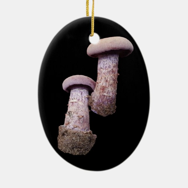 Décoration En Céramique L'ornement des amoureux des champignons (Dos)