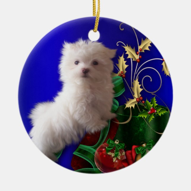 Décoration En Céramique L'ornement du chien chiot maltais (Devant)