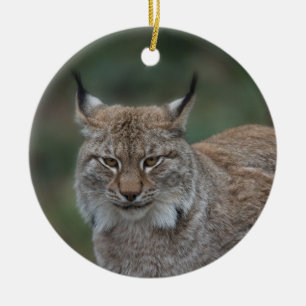 Décoration En Céramique Lynx Vous Regarde
