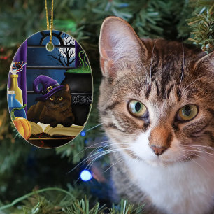 Décoration En Céramique Magie de chat brun ensorcelant sous la pleine lune
