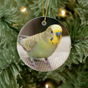 Décoration En Céramique Male Yellow and Green Parakeet
