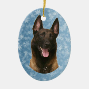 Décoration En Céramique malinois belges
