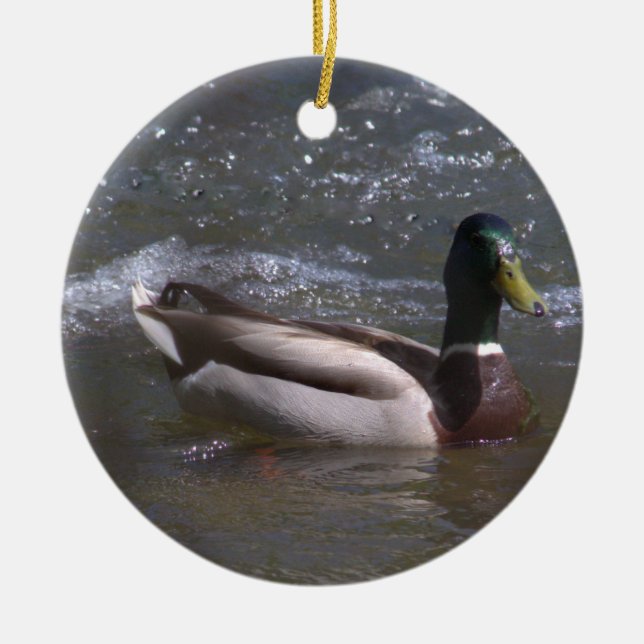 Décoration En Céramique Mallard Drake (Devant)