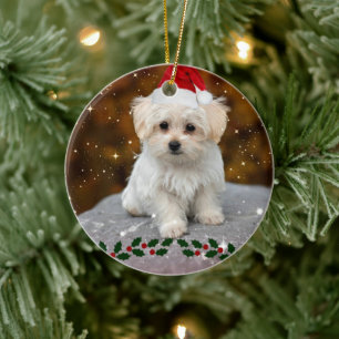 Décoration En Céramique Maltese Puppy fête Noël