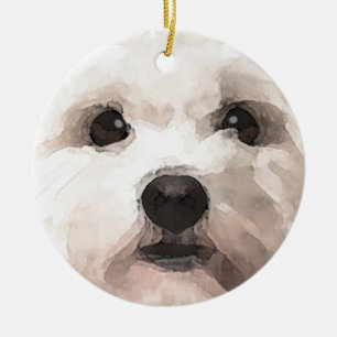 Décoration En Céramique Maltipoo