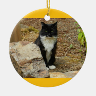 Décoration En Céramique Mamans sauvages de chat