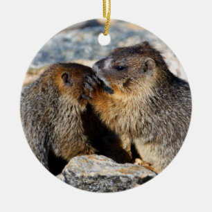 Décoration En Céramique marmottes de bébé
