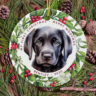 Décoration En Céramique Masque Visage de Noël Père Noël Chien 2020 Pandémi