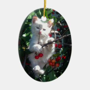 Décoration En Céramique Mémoire de famille Chat Photo 1 face