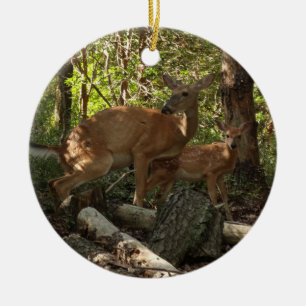 Décoration En Céramique Mère et bébé cerf au Parc national de Shenandoah