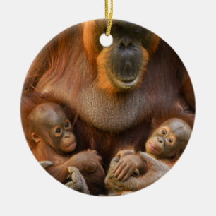 Décoration En Céramique Mère Orangoutane tenant deux bébés