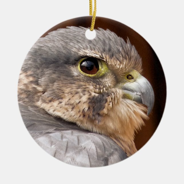 DÉCORATION EN CÉRAMIQUE MERLIN FALCON OISEAU DE PREY (Devant)