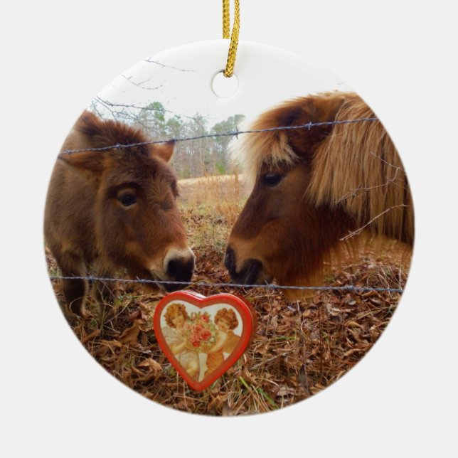 Décoration En Céramique Miniature Donkey & Horse Valentine Heart (Devant)