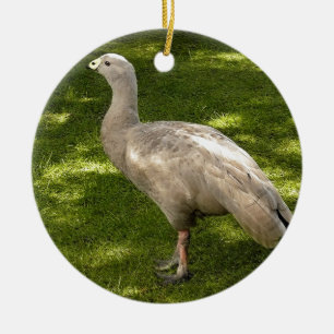 Décoration En Céramique Miscellaneous - Cape Barren Goose Shadows & Light